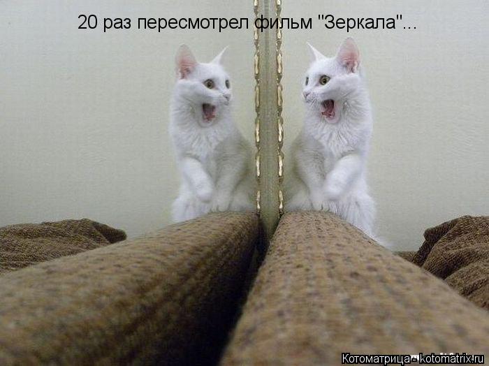 20 раз пересмотрел фильм "Зеркала"...... Котоматрица: 20 раз пересмотрел фильм "Зеркала"...
