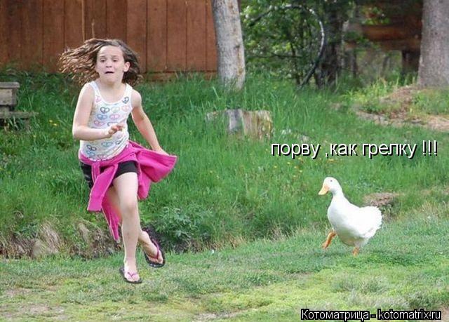 Котоматрица: порву ,как грелку !!!
