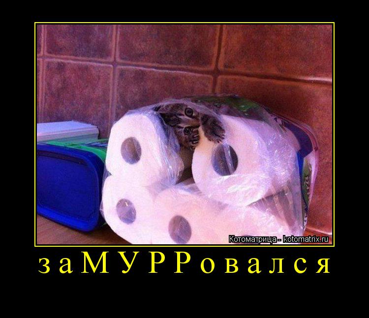 Котоматрица: заМУРРовался 