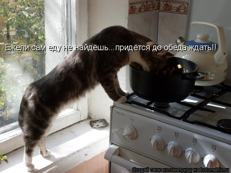 Котоматрица: Ежели сам еду не найдёшь...придётся до обеда ждать!!