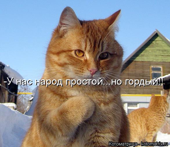 Котоматрица: -У нас народ простой...но гордый!!