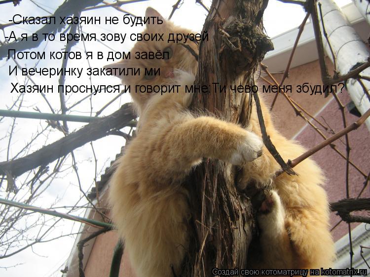 Котоматрица: -Сказал хазяин не будить  -А я в то время зову своих друзей Потом котов я в дом завёл И вечеринку закатили ми Хазяин проснулся и говорит мне:Т
