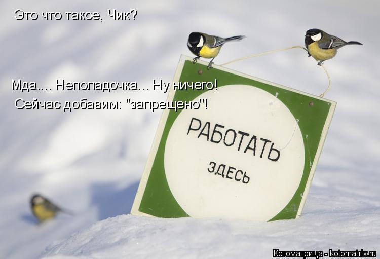 Котоматрица: Это что такое, Чик? Это что такое, Чик? Мда.... Неполадочка... Ну ничего! Сейчас добавим: "запрещено"!