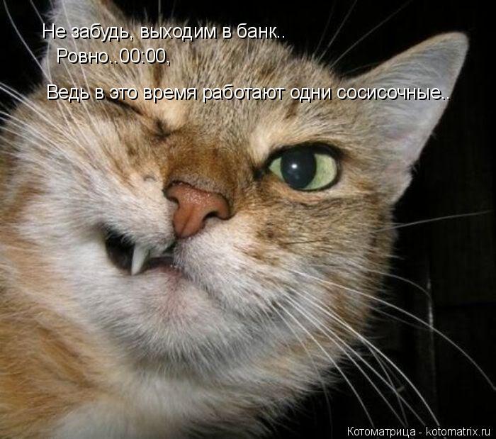 Котоматрица: Не забудь, выходим в банк.. Ровно..00:00,  Ведь в это время работают одни сосисочные..