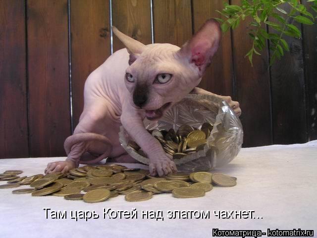 Котоматрица: Там царь Котей над златом чахнет...