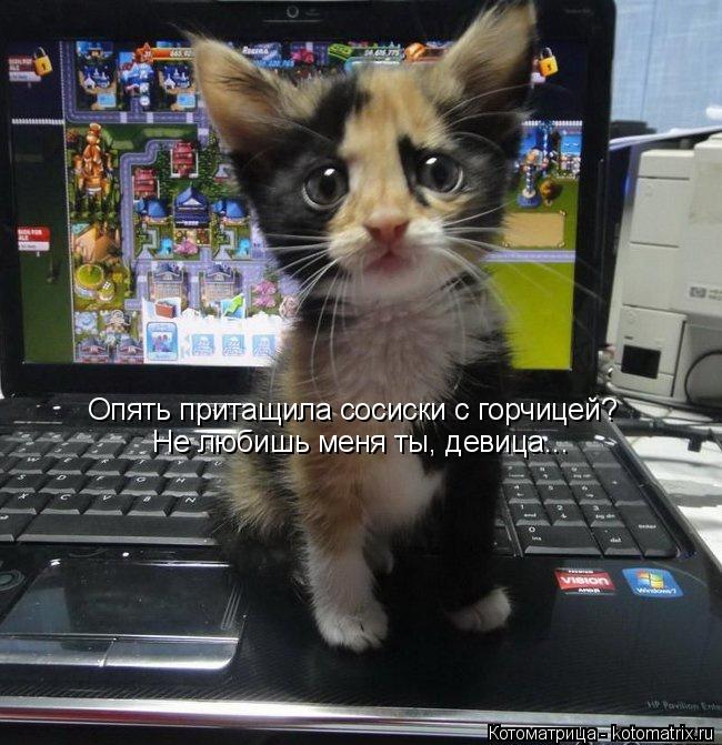 Котоматрица: Опять притащила сосиски с горчицей? Не любишь меня ты, девица...