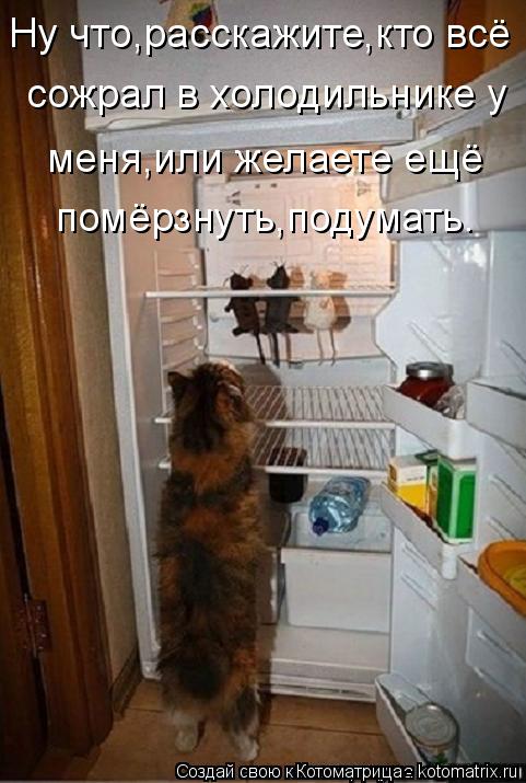 Котоматрица: Ну что,расскажите,кто всё сожрал в холодильнике у  меня,или желаете ещё помёрзнуть,подумать.