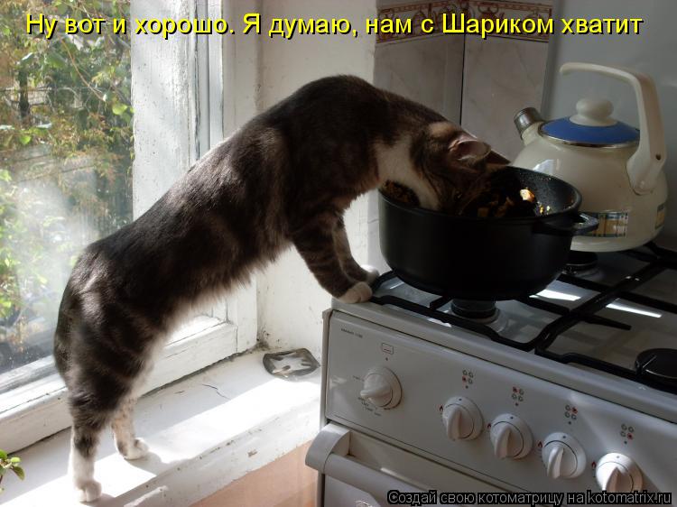 Котоматрица: Ну вот и хорошо. Я думаю, нам с Шариком хватит