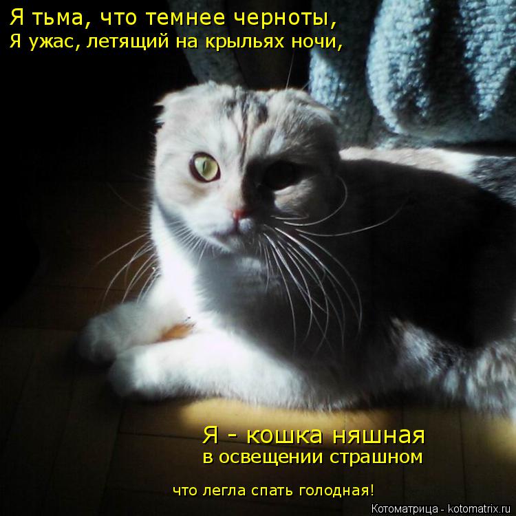 Котоматрица: Я тьма, что темнее черноты, Я ужас, летящий на крыльях ночи, Я - кошка няшная в освещении страшном что легла спать голодная!