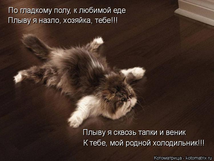 Котоматрица: По гладкому полу, к любимой еде Плыву я назло, хозяйка, тебе!!! К тебе, мой родной холодильник!!! Плыву я сквозь тапки и веник