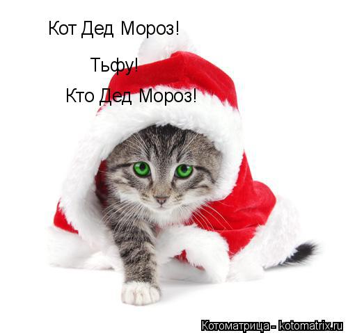 Котоматрица: Кот Дед Мороз! Тьфу! Кто Дед Мороз!