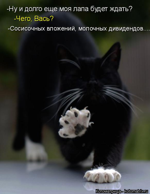 Котоматрица: -Ну и долго еще моя лапа будет ждать? -Чего, Вась? -Сосисочных вложений, молочных дивидендов....