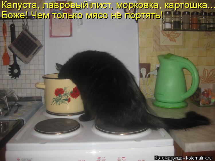Котоматрица: Капуста, лавровый лист, морковка, картошка... Боже! Чем только мясо не портять!
