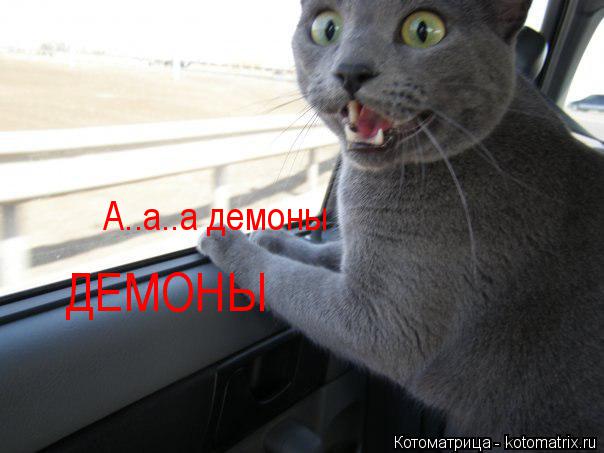 Котоматрица: А..а..а демоны ДЕМОНЫ