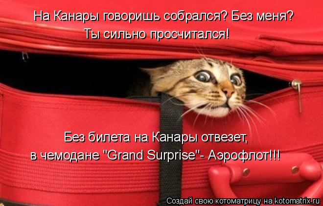 Котоматрица: На Канары говоришь собрался? Без меня? Ты сильно просчитался! Без билета на Канары отвезет,  в чемодане "Grand Surprise"- Аэрофлот!!!