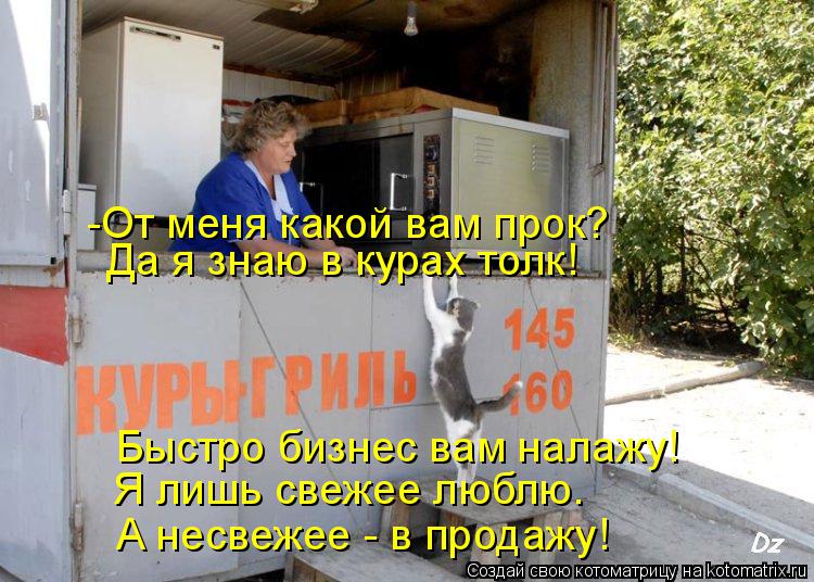 -От меня какой вам прок? Да я знаю в курах толк! Я лишь свежее люблю. Быстро бизнес вам налажу! А нес... Котоматрица: -От меня какой вам прок? Да я знаю в курах толк! Я лишь свежее люблю. Быстро бизнес вам налажу! А несвежее - в продажу!
