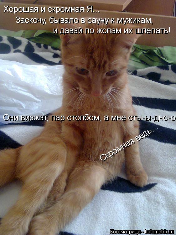 Хорошая и скромная Я… Заскочу, бывало в сауну к мужикам, и давай по жопам их шлепать! Они визжат, п... Котоматрица: Хорошая и скромная Я… Заскочу, бывало в сауну к мужикам, и давай по жопам их шлепать! Они визжат, пар столбом, а мне сты-ы-дно-о! Скромная вед