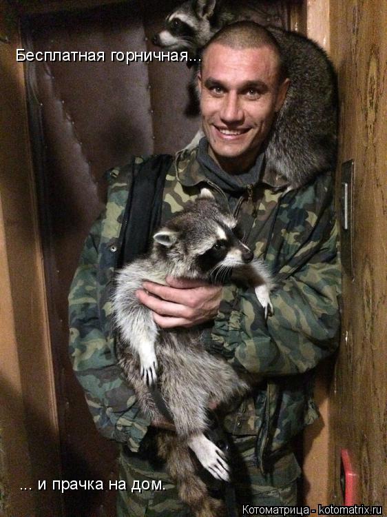 Котоматрица: Бесплатная горничная... ... и прачка на дом.