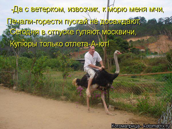Котоматрица: -Да с ветерком, извозчик, к морю меня мчи, Сегодня в отпуске гуляют москвичи, Купюры только отлета-А-ют! Печали-горести пускай не досаждают,