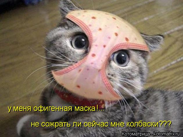 Котоматрица: у меня офигенная маска !... не сожрать ли сейчас мне колбаски???