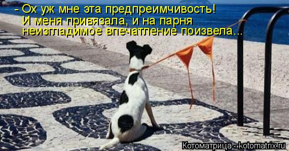 - Ох уж мне эта предпреимчивость! И меня привязала, и на парня неизгладимое впечатление поизвела...... Котоматрица: - Ох уж мне эта предпреимчивость! И меня привязала, и на парня неизгладимое впечатление поизвела...