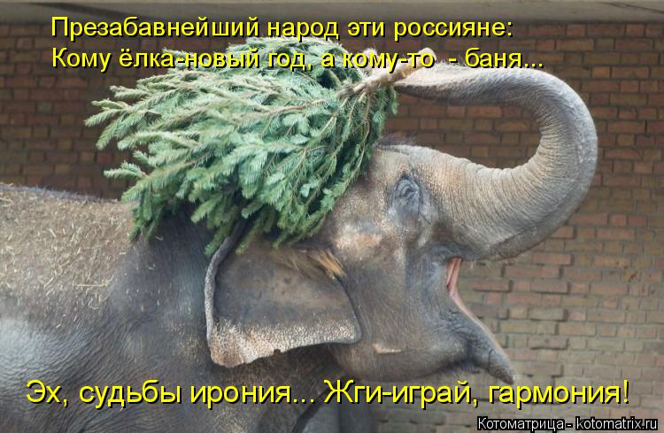 Презабавнейший народ эти россияне: Кому ёлка-новый год, а кому-то - баня... Эх, судьбы ирония... Жги... Котоматрица: Презабавнейший народ эти россияне: Кому ёлка-новый год, а кому-то - баня... Эх, судьбы ирония... Жги-играй, гармония!