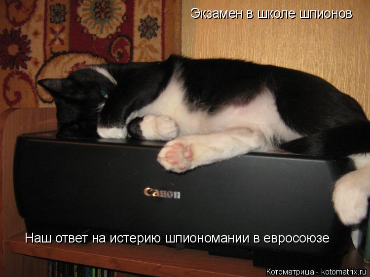 Экзамен в школе шпионов Наш ответ на истерию шпиономании в евросоюзе... Котоматрица: Экзамен в школе шпионов Наш ответ на истерию шпиономании в евросоюзе