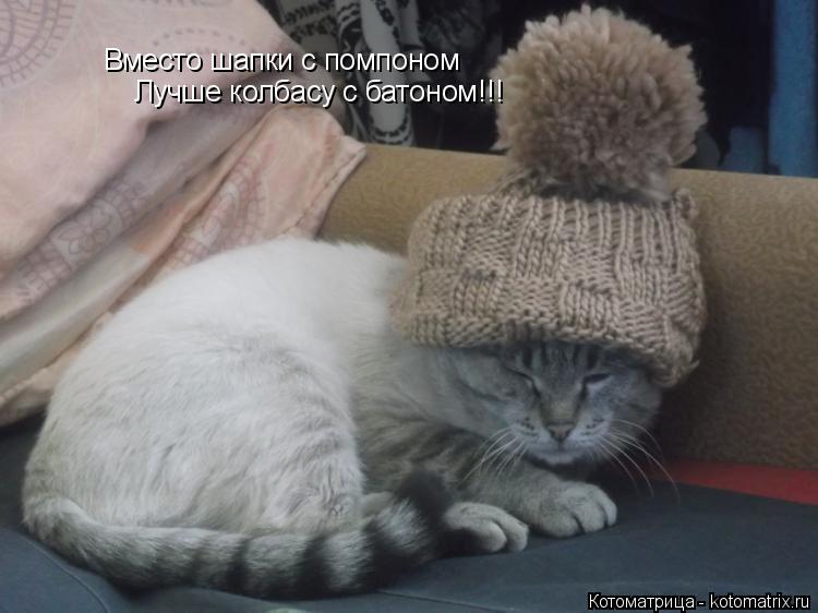 Вместо шапки с помпоном Лучше колбасу с батоном!!!... Котоматрица: Вместо шапки с помпоном Лучше колбасу с батоном!!!