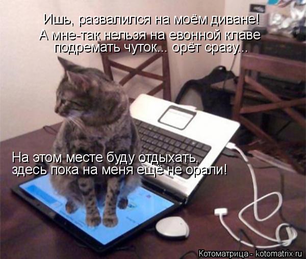Ишь, развалился на моём диване! А мне-так нельзя на евонной клаве подремать чуток... орёт сразу... Н... Котоматрица: Ишь, развалился на моём диване! А мне-так нельзя на евонной клаве подремать чуток... орёт сразу... На этом месте буду отдыхать, здесь пока на м