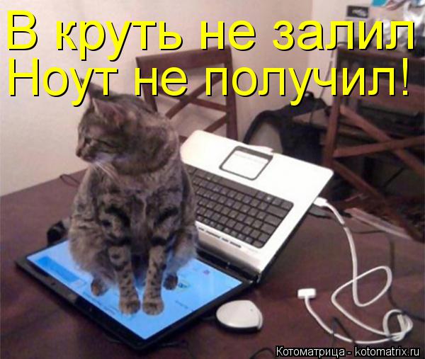 В круть не залил Ноут не получил!... Котоматрица: В круть не залил Ноут не получил!