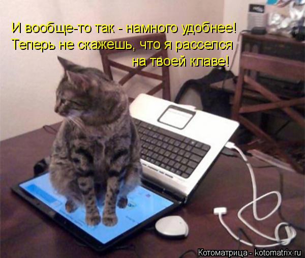 И вообще-то так - намного удобнее! Теперь не скажешь, что я расселся на твоей клаве!... Котоматрица: И вообще-то так - намного удобнее! Теперь не скажешь, что я расселся на твоей клаве!