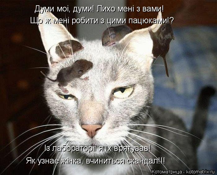 Що ж мені робити з цими пацюками!? Думи моі, думи! Лихо мені з вами! Із лабораторіі я їх врятував! Як... Котоматрица: Що ж мені робити з цими пацюками!? Думи моі, думи! Лихо мені з вами! Із лабораторіі я їх врятував! Як узнае жінка, вчиниться скандал!!!