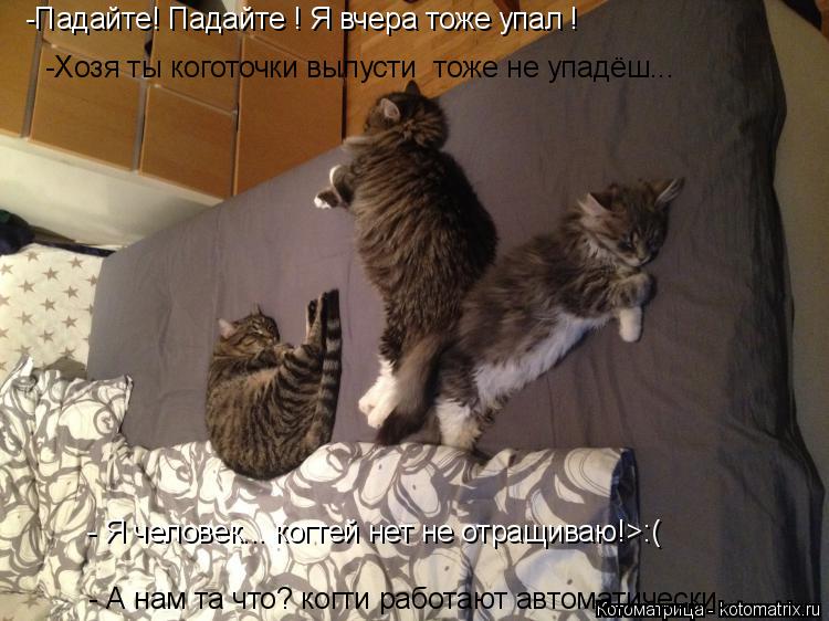 -Падайте! Падайте ! Я вчера тоже упал ! -Хозя ты коготочки выпусти тоже не упадёш... - Я человек... ... Котоматрица: -Падайте! Падайте ! Я вчера тоже упал ! -Хозя ты коготочки выпусти тоже не упадёш... - Я человек... когтей нет не отращиваю!>:( - А нам та что? когти