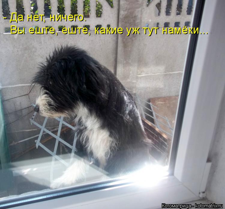 - Да нет, ничего. Вы еште, еште, какие уж тут намёки...... Котоматрица: - Да нет, ничего. Вы еште, еште, какие уж тут намёки...