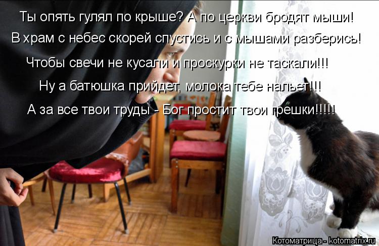 Ты опять гулял по крыше? А по церкви бродят мыши! В храм с небес скорей спустись и с мышами разберись... Котоматрица: Ты опять гулял по крыше? А по церкви бродят мыши! В храм с небес скорей спустись и с мышами разберись! Чтобы свечи не кусали и проскурки не та