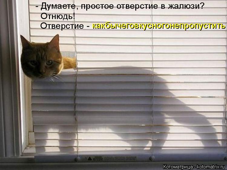 - Думаете, простое отверстие в жалюзи? Отнюдь! Отверстие - какбычеговкусногонепропустить... Котоматрица: - Думаете, простое отверстие в жалюзи? Отнюдь! Отверстие - какбычеговкусногонепропустить
