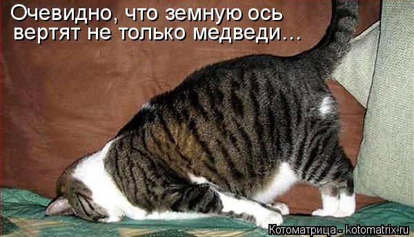 Очевидно, что земную ось вертят не только медведи…... Котоматрица: Очевидно, что земную ось вертят не только медведи…