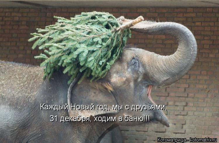 Каждый Новый год, мы с друзьями, 31 декабря, ходим в баню!!!... Котоматрица: Каждый Новый год, мы с друзьями, 31 декабря, ходим в баню!!!