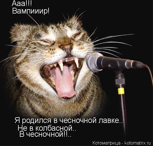 Ааа!!! Вампииир! Я родился в чесночной лавке.. Не в колбасной.. В чесночной!!..... Котоматрица: Ааа!!! Вампииир! Я родился в чесночной лавке.. Не в колбасной.. В чесночной!!..
