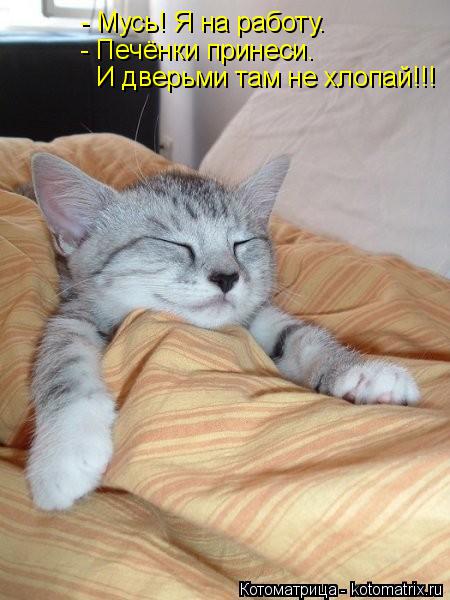- Мусь! Я на работу. - Печёнки принеси. И дверьми там не хлопай!!!... Котоматрица: - Мусь! Я на работу. - Печёнки принеси. И дверьми там не хлопай!!!