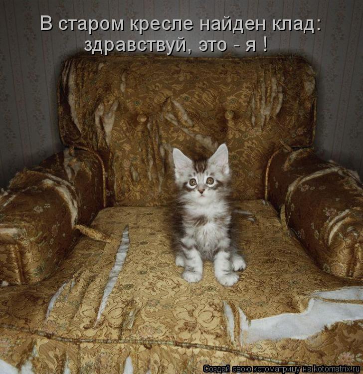 В старом кресле найден клад: здравствуй, это - я !... Котоматрица: В старом кресле найден клад: здравствуй, это - я !
