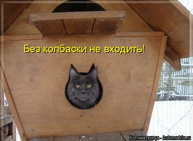 Без колбаски не входить!... Котоматрица: Без колбаски не входить!