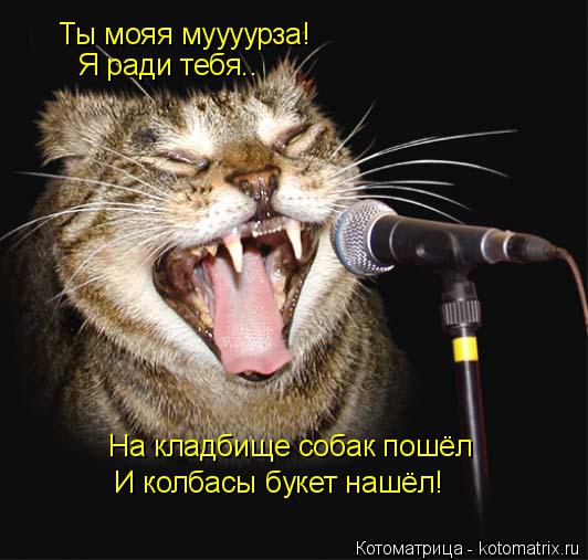 Ты мояя муууурза! Я ради тебя.. На кладбище собак пошёл И колбасы букет нашёл!... Котоматрица: Ты мояя муууурза! Я ради тебя.. На кладбище собак пошёл И колбасы букет нашёл!