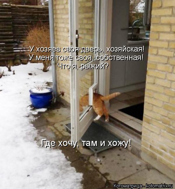 У хозяев своя дверь, хозяйская! У меня тоже своя, собственная! Что я, рыжий? Где хочу, там и хожу!... Котоматрица: У хозяев своя дверь, хозяйская! У меня тоже своя, собственная! Что я, рыжий? Где хочу, там и хожу!