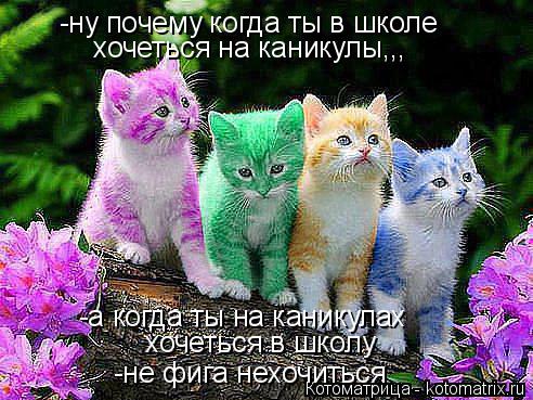 -ну почему когда ты в школе хочеться на каникулы,,, -а когда ты на каникулах хочеться в школу -не фиг... Котоматрица: -ну почему когда ты в школе хочеться на каникулы,,, -а когда ты на каникулах хочеться в школу -не фига нехочиться