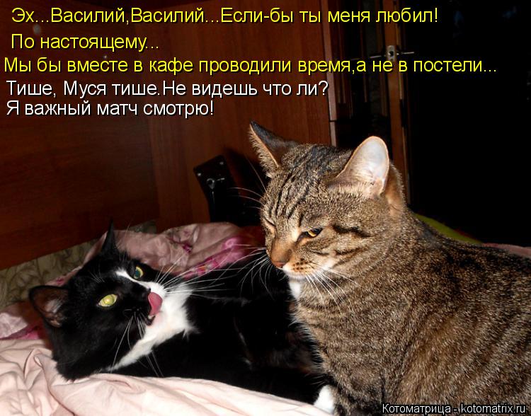 Эх...Василий,Василий...Если-бы ты меня любил! По настоящему... Мы бы вместе в кафе проводили время,а ... Котоматрица: Эх...Василий,Василий...Если-бы ты меня любил! По настоящему... Мы бы вместе в кафе проводили время,а не в постели... Тише, Муся тише.Не видешь что