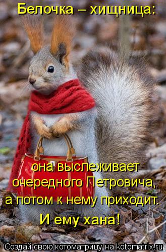 Белочка – хищница: она выслеживает очередного Петровича, а потом к нему приходит. И ему хана!... Котоматрица: Белочка – хищница: она выслеживает очередного Петровича, а потом к нему приходит. И ему хана!