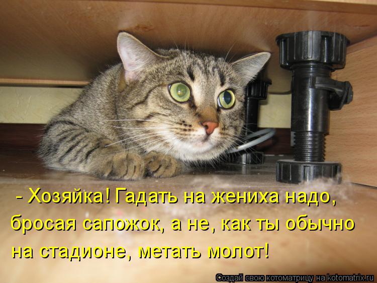 - Хозяйка! Гадать на жениха надо, бросая сапожок, а не, как ты обычно на стадионе, метать молот!... Котоматрица: - Хозяйка! Гадать на жениха надо, бросая сапожок, а не, как ты обычно на стадионе, метать молот!