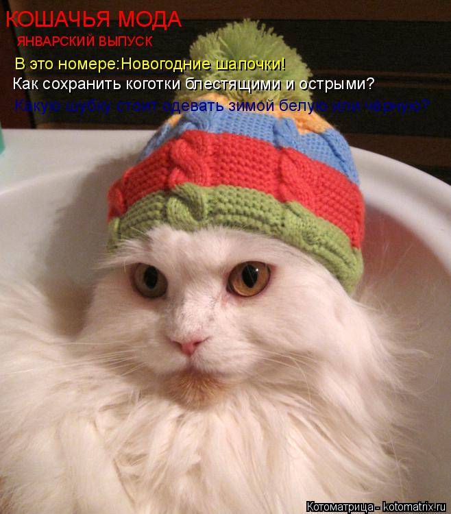 КОШАЧЬЯ МОДА ЯНВАРСКИЙ ВЫПУСК В это номере:Новогодние шапочки! Как сохранить коготки блестящими и ост... Котоматрица: КОШАЧЬЯ МОДА ЯНВАРСКИЙ ВЫПУСК В это номере:Новогодние шапочки! Как сохранить коготки блестящими и острыми? Какую шубку стоит одевать зимой