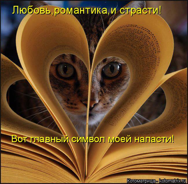 Любовь,романтика,и страсти! Вот главный символ моей напасти!... Котоматрица: Любовь,романтика,и страсти! Вот главный символ моей напасти!